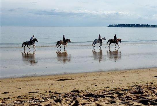 Esprit Cottage "4 Etoiles" Sables D'Or Les Pins Plurien 외부 사진
